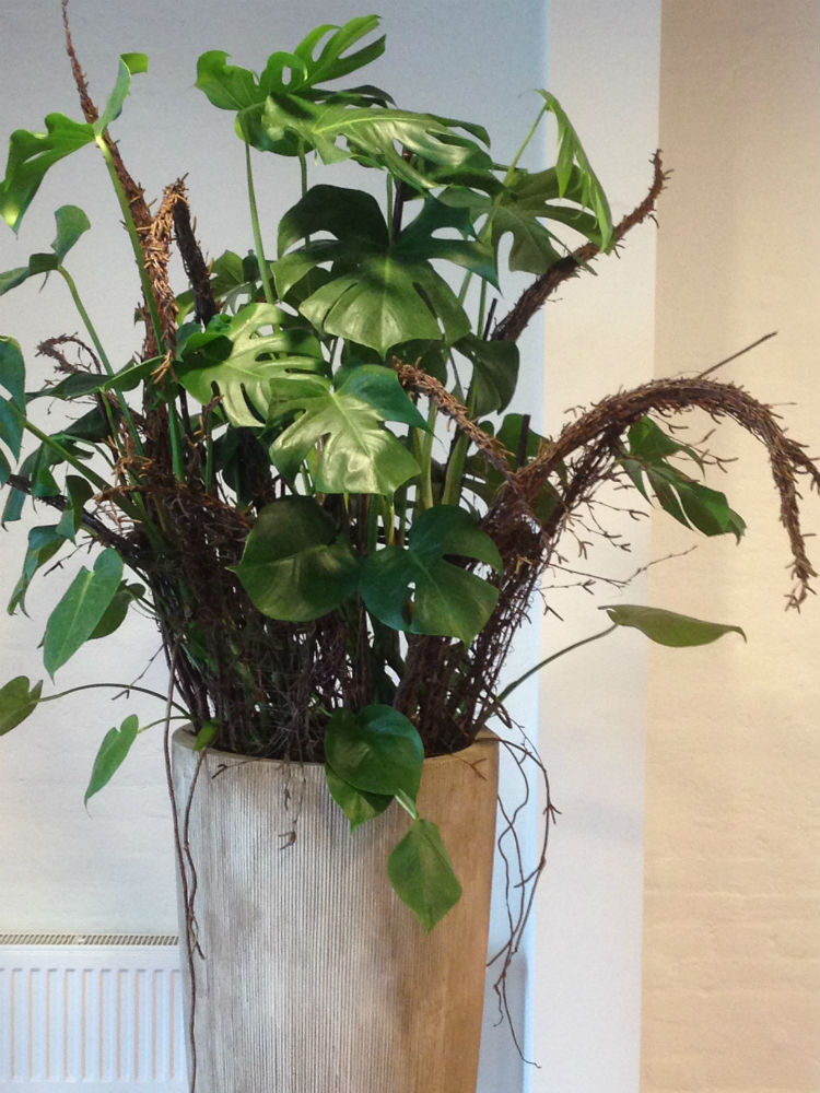 Planter til kontoret i kreativt design fra Charlotte Franke Floradesign